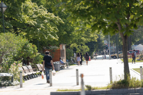 公園の風景