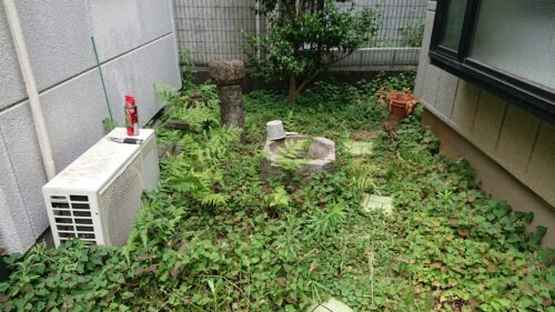 お庭の草むしり前3