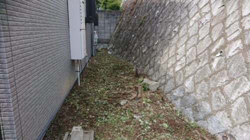 リピート依頼庭の草むしり後4