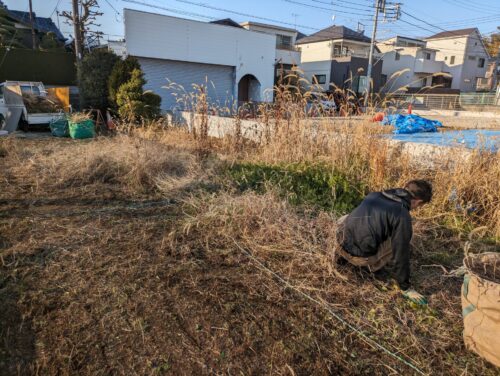 更地草むしり12