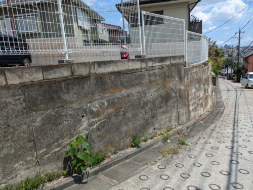 駐車場の草むしり道路面、草むしり後