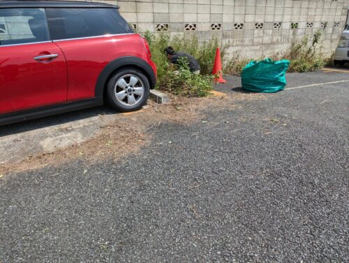 草むしり、車周りの途中経過