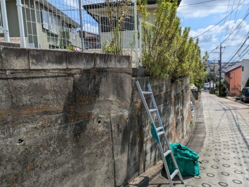 脚立を使用して道路面フェンスの草むしりを行う