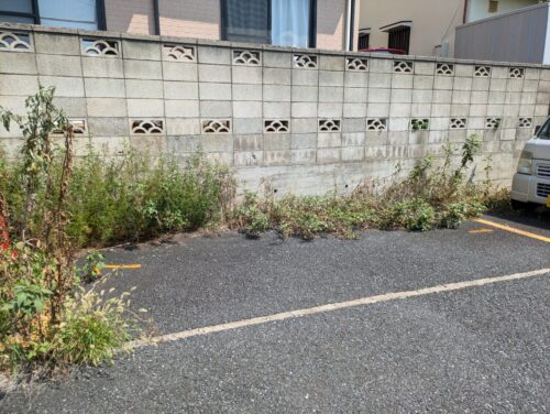 駐車場の草むしり側面、草むしり前