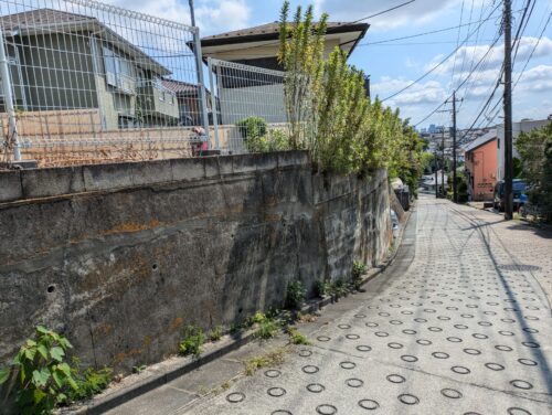 駐車場の草むしり道路面、草むしり前