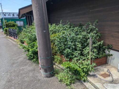 家前花壇草むしり前