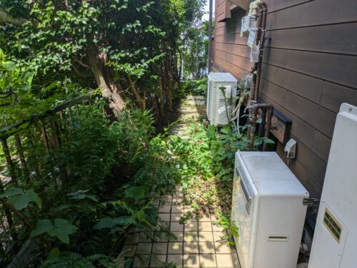 家側面草むしり前