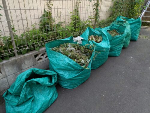 草刈り後の草を集めて処分