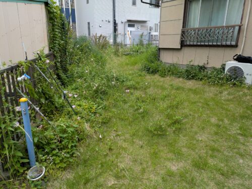 お庭草刈り前1