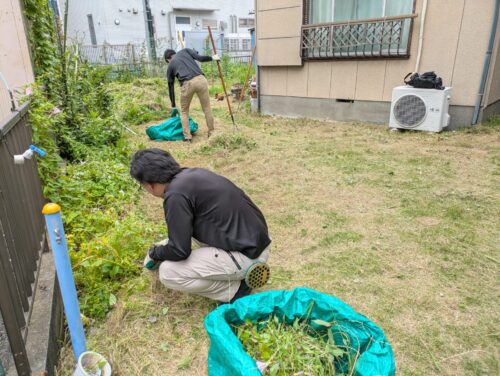 草刈り機でできない部分は手作業で草むしり