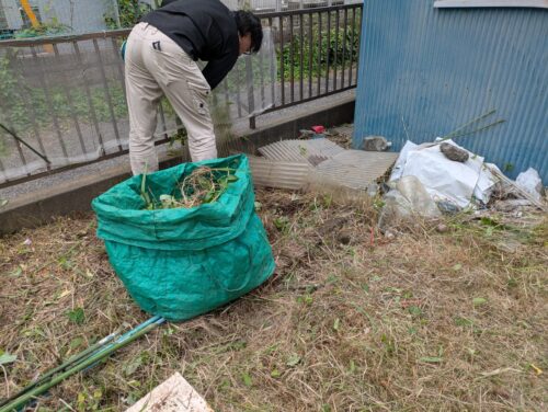 細かい部分も草むしり