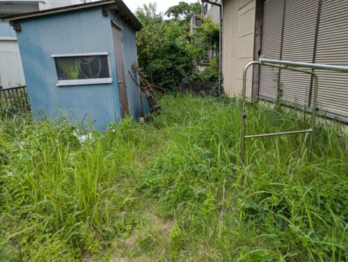 お庭草刈り前3