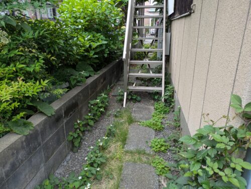 お庭裏手階段下草むしり前