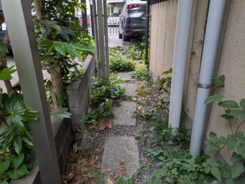 お庭裏手草むしり前