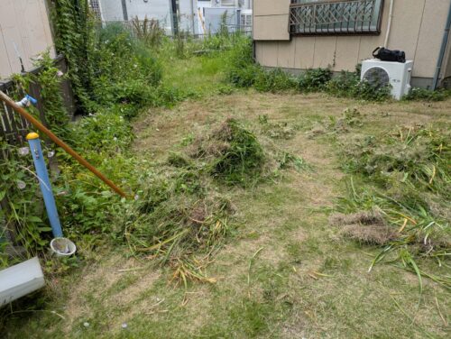 お庭の草刈り開始