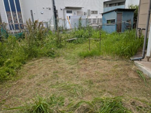 お庭の草刈り途中