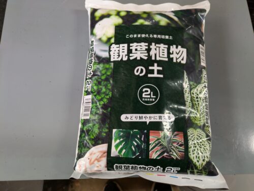 観葉植物の土