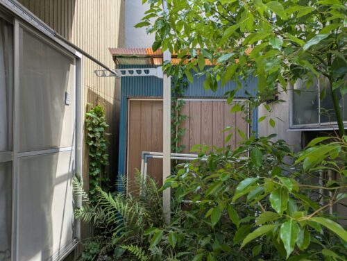 家裏手茂みの奥の物置