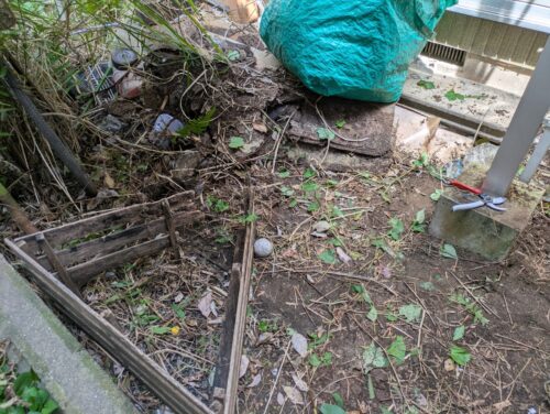 家裏手茂み草むしり途中2