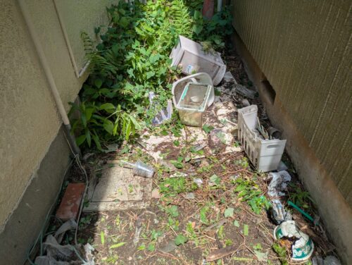 家側面草むしり途中