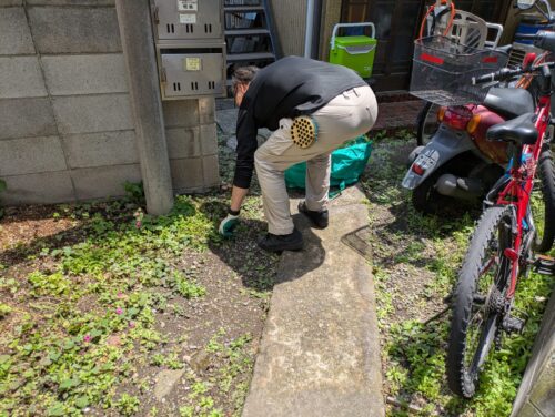 草むしり中
