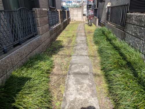 家までの通路草むしり後
