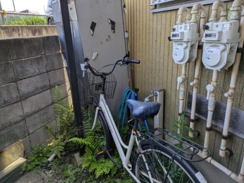 玄関横草むしり前