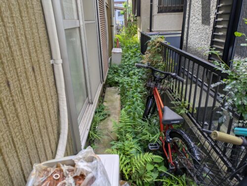 家側面草むしり前1