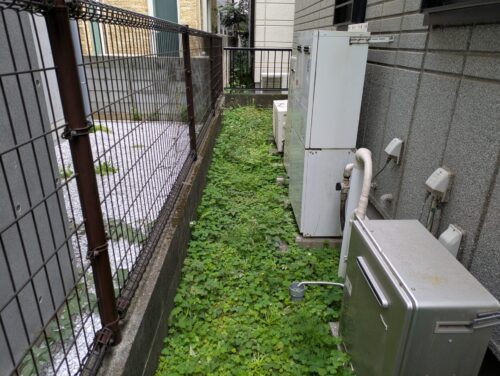 庭裏手草むしり前1
