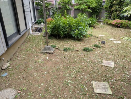 庭草むしり後1
