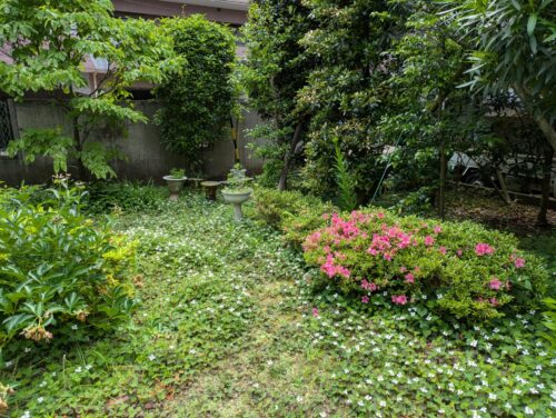 庭草むしり前3