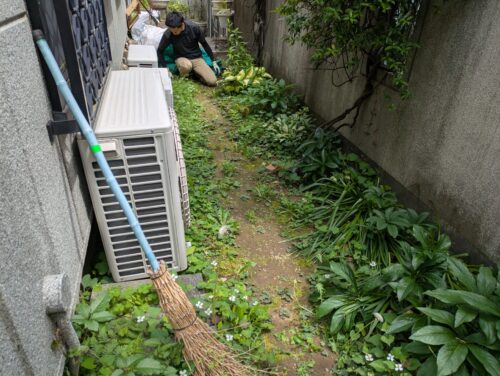 庭玄関横草むしり前