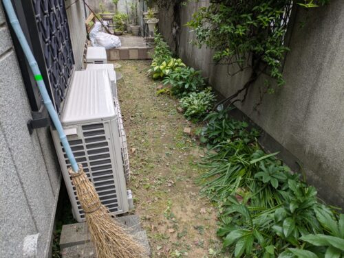 庭玄関横草むしり後