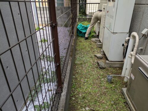 庭裏手草むしり途中