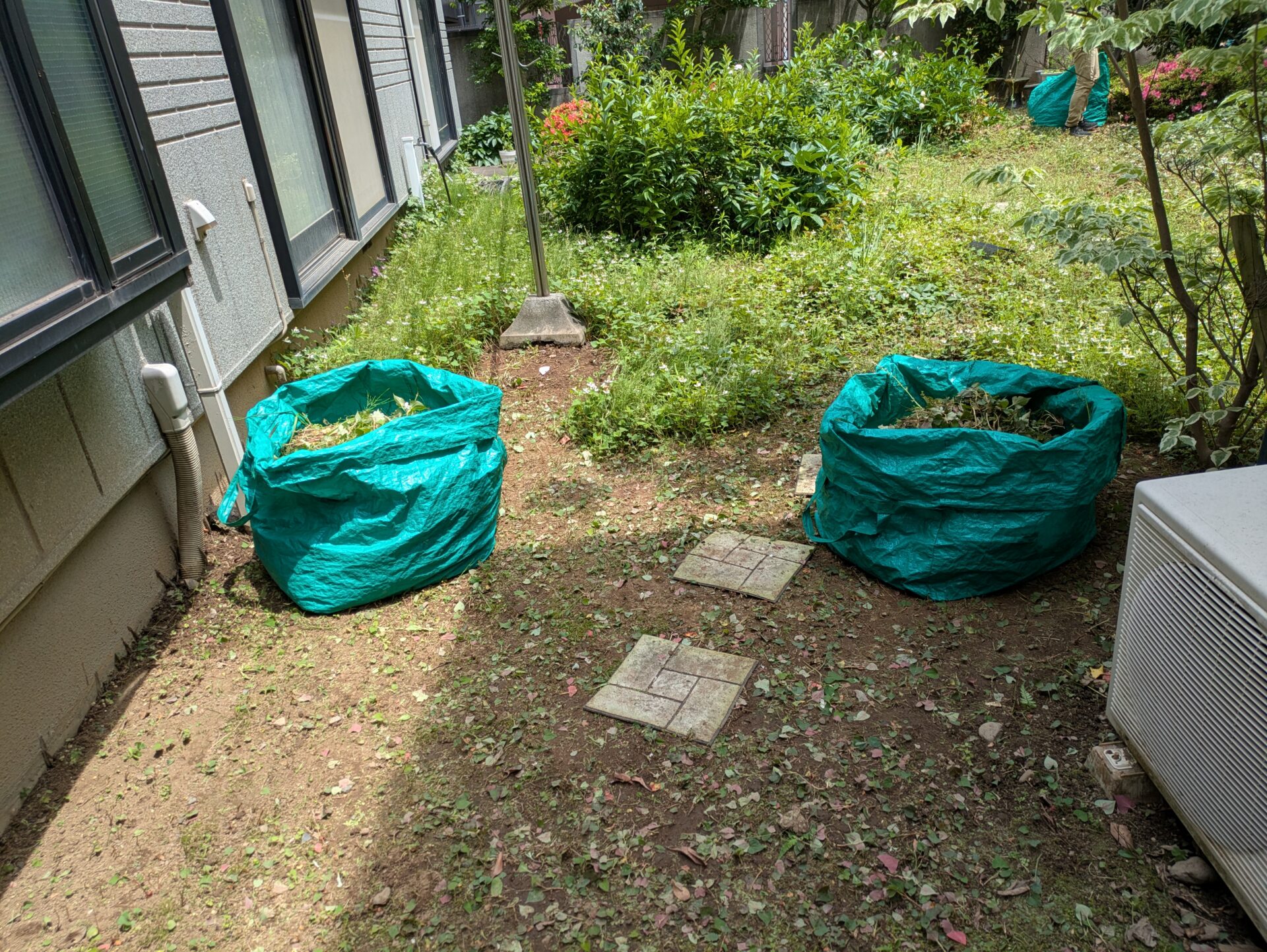 庭草むしり途中2