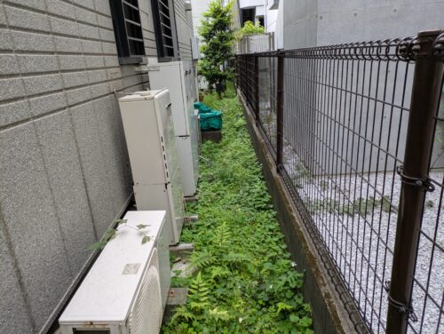 庭裏手草むしり前2