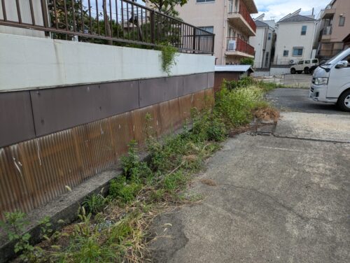 駐車場壁際草むしり前