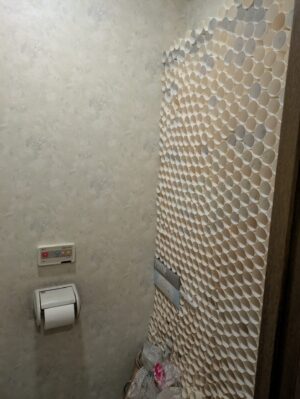 異様なトイレの風景