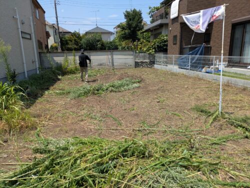 更地の草刈りした草を集める