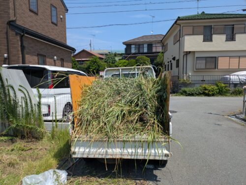 トラックに草を積み込み途中