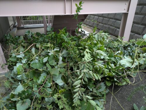 刈り取っては集めての繰り返し