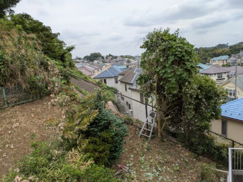 フェンスの奥の景色がかなり見えてきたのであとひと踏ん張り