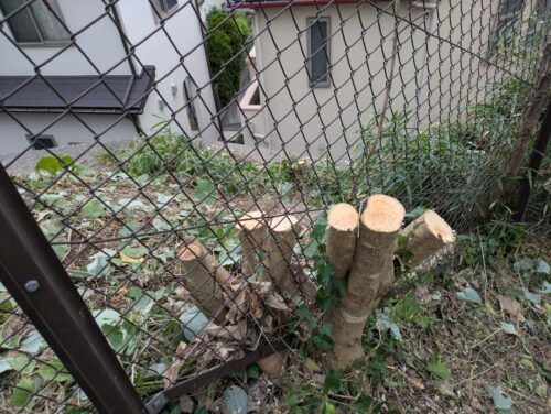 木の幹はフェンスにくいこんでいました