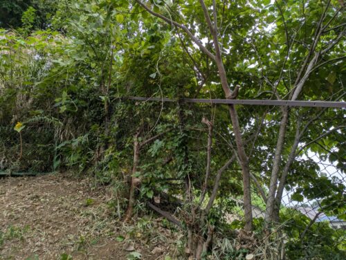 ある程度作業を行うとフェンスが見えてくる