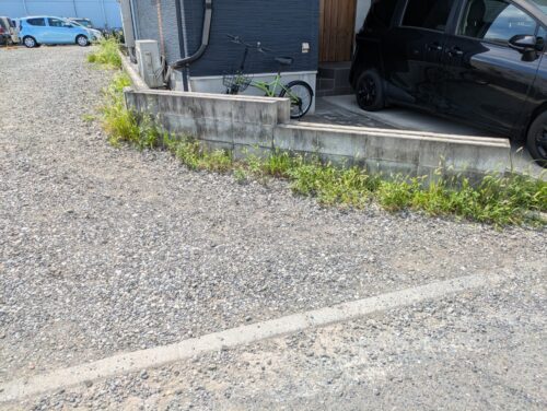 駐車場入り口草むしり前