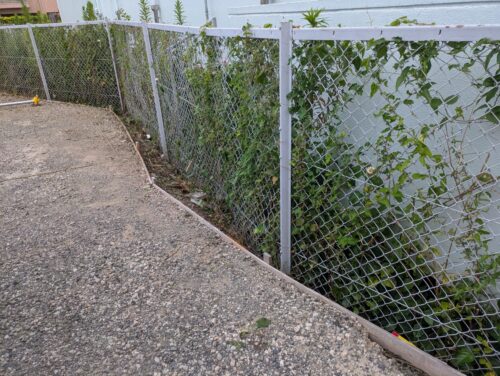 駐車場側面フェンス際草むしり後2