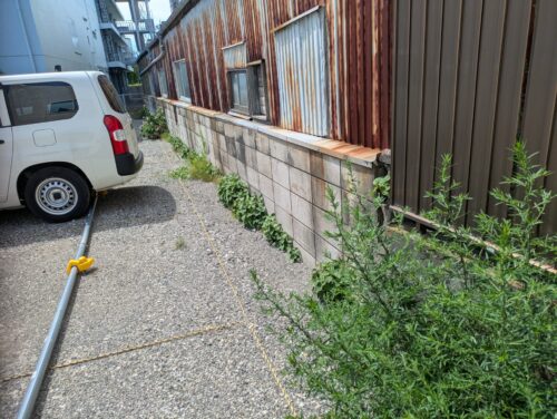 駐車場側面壁際草むしり前2