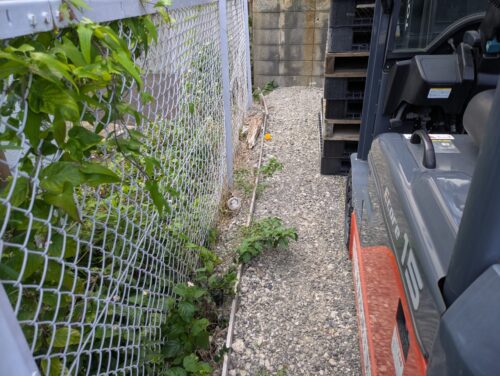 駐車場側面フェンス際草むしり前
