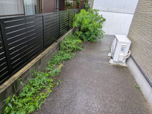 アパート側面草むしり前