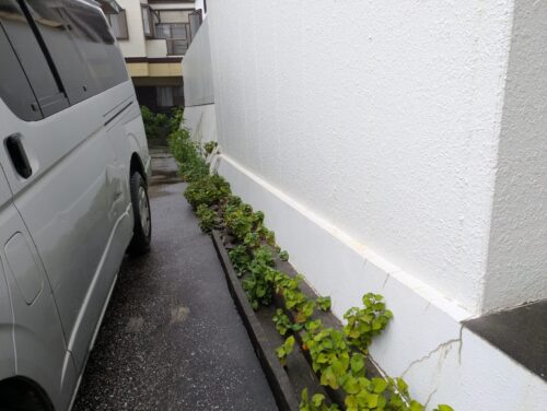 アパート側溝草むしり前